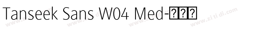 Tanseek Sans W04 Med字体转换